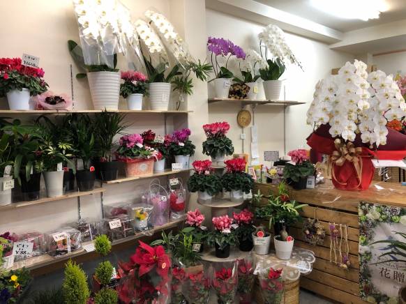 「フローラはなよし」　（兵庫県尼崎市）の花屋店舗写真2